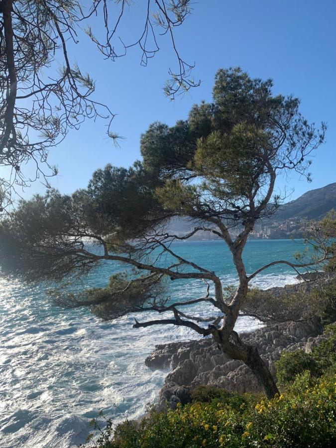 Castiello B&B Roquebrune-Cap-Martin Exterior photo